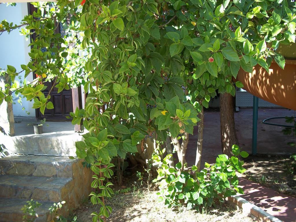 Erciyes Apart Hotel Fethiye Exterior foto
